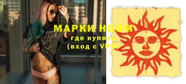 ешки Аркадак