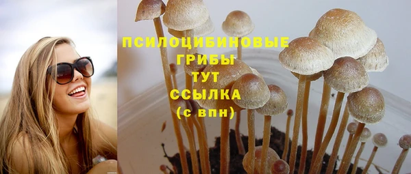 ешки Аркадак