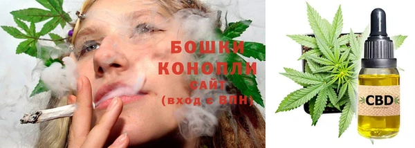 ешки Аркадак