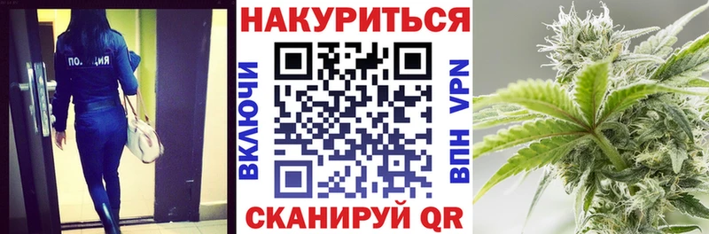 MEGA как войти  Суздаль  Бошки марихуана марихуана 